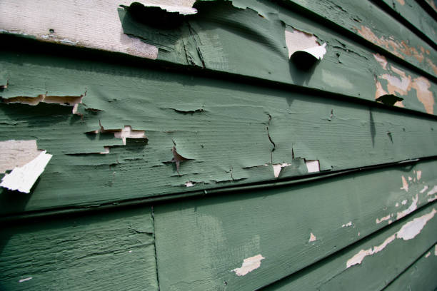 Siding for Commercial Buildings in Kalifornsky, AK