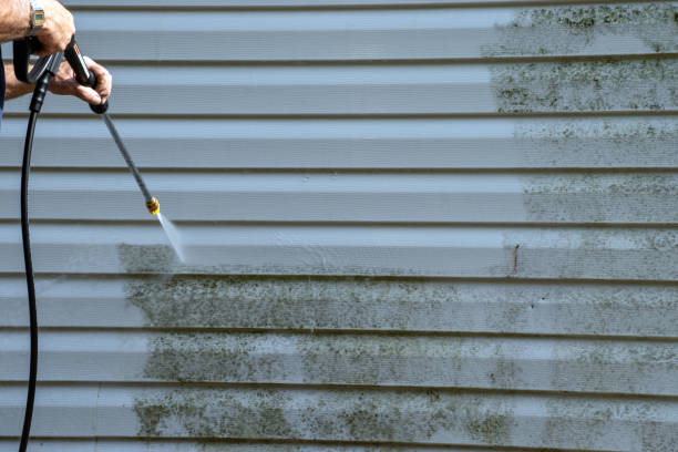 Best Steel Siding Installation  in Kalifornsky, AK