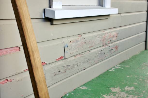 Best Composite Siding  in Kalifornsky, AK