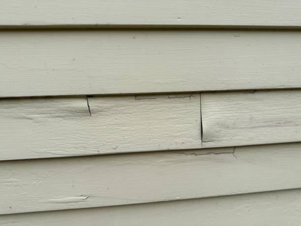 Siding for Multi-Family Homes in Kalifornsky, AK