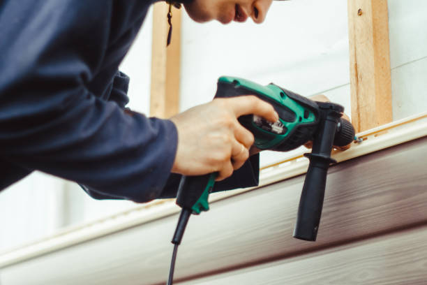 Best Residential Vinyl Siding Installation  in Kalifornsky, AK
